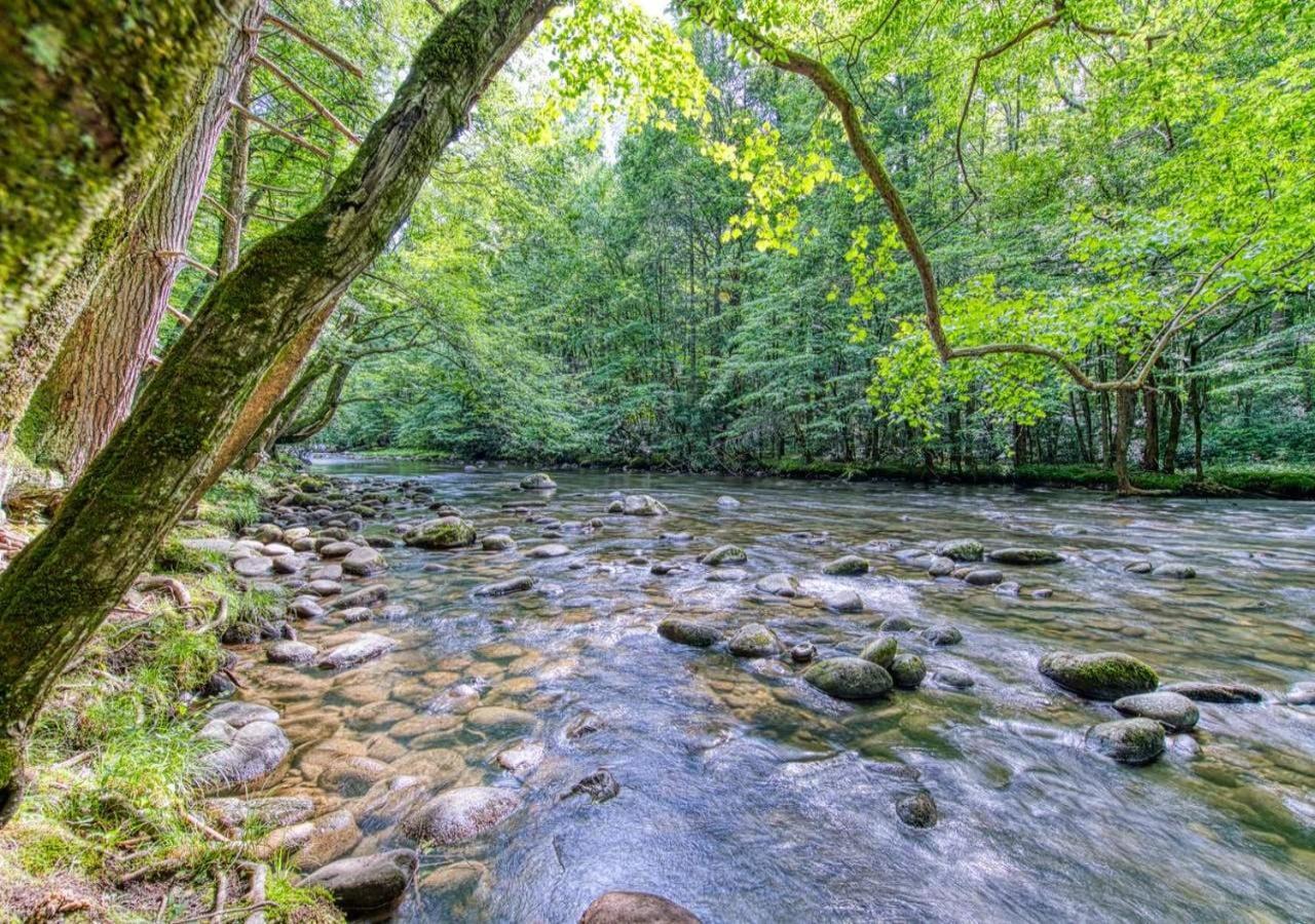 The Grand Orchard Lodge - Gatlinburg, Tn Exteriör bild